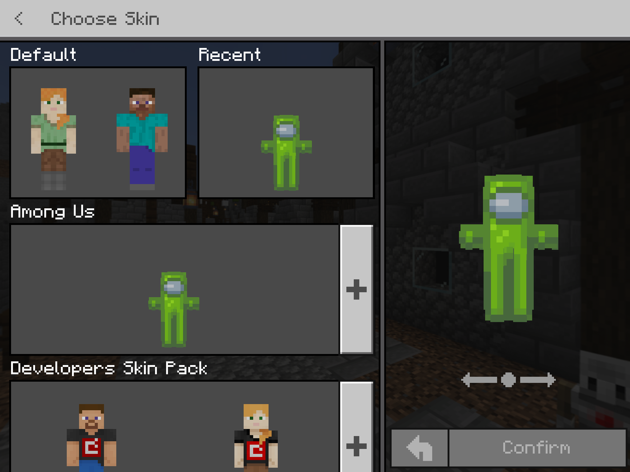 Minecraft Education Custom skins ipad